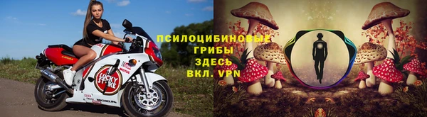амф Алзамай