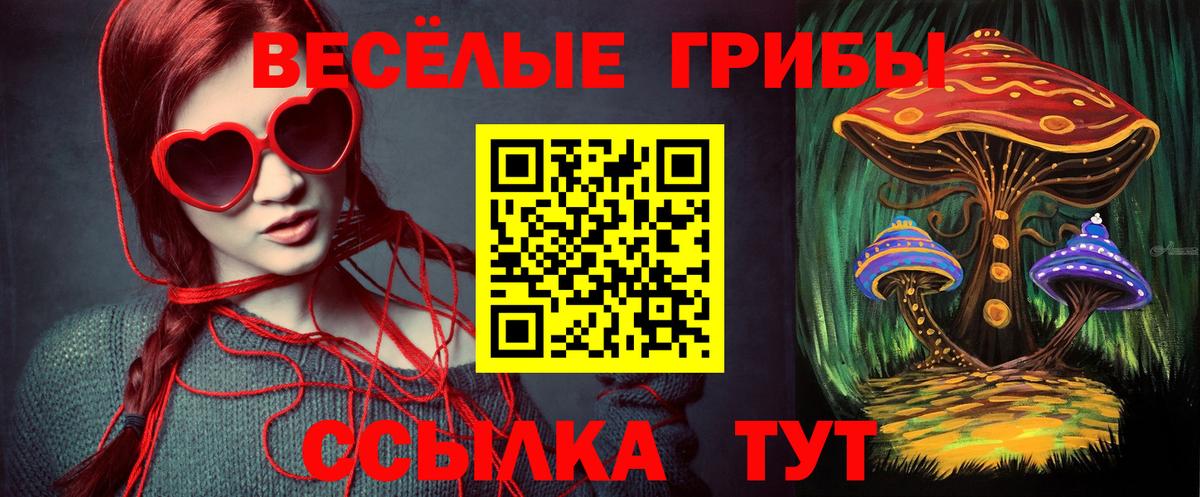 Евпатория  Псилоцибиновые грибы прущие грибы  Вход с VPN 